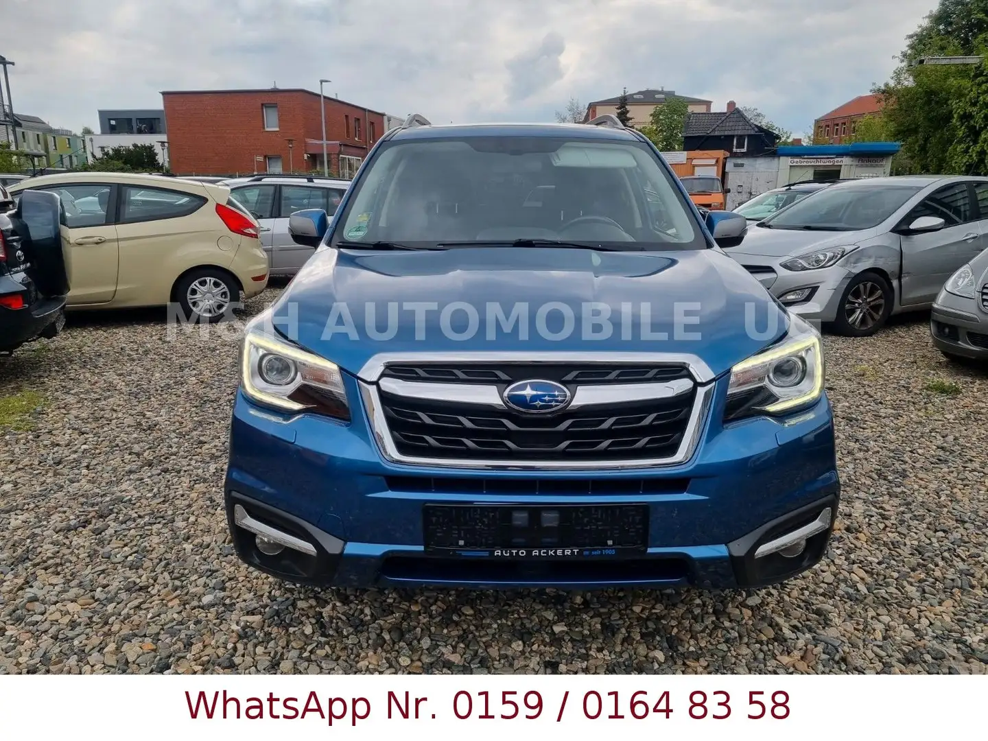 Subaru Forester Exclusive*Panorama-Dach* Niebieski - 2