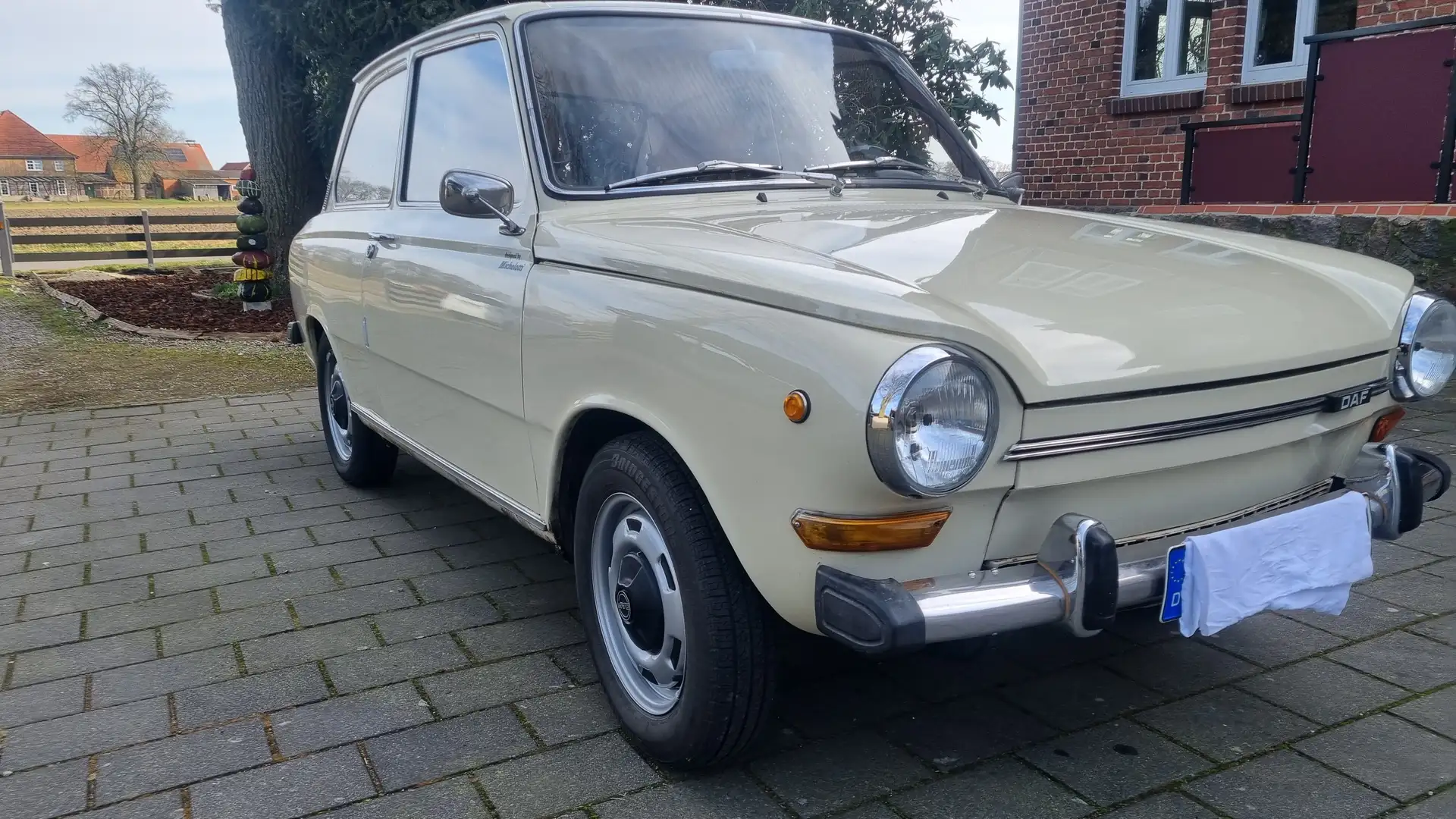 DAF Beige - 1