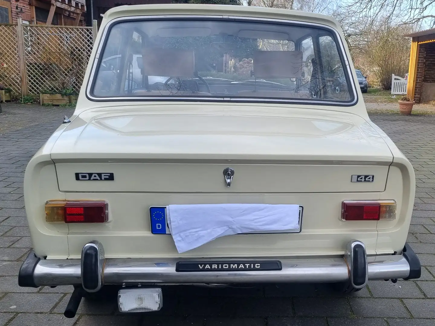 DAF Beige - 2