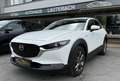 Mazda CX-30 AWD X180 100 Years *ALLRAD *AHK *360° *BOSE Weiß - thumbnail 5