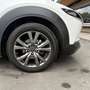 Mazda CX-30 AWD X180 100 Years *ALLRAD *AHK *360° *BOSE Weiß - thumbnail 11