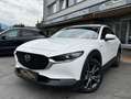 Mazda CX-30 AWD X180 100 Years *ALLRAD *AHK *360° *BOSE Weiß - thumbnail 1