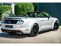 Ford Mustang Cabriolet Gt 5.0l V8 450 BVM6 Premium - thumbnail 10