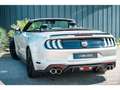 Ford Mustang Cabriolet Gt 5.0l V8 450 BVM6 Premium - thumbnail 11