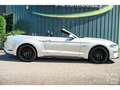 Ford Mustang Cabriolet Gt 5.0l V8 450 BVM6 Premium - thumbnail 6