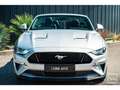 Ford Mustang Cabriolet Gt 5.0l V8 450 BVM6 Premium - thumbnail 12
