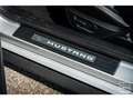 Ford Mustang Cabriolet Gt 5.0l V8 450 BVM6 Premium - thumbnail 27