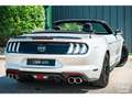 Ford Mustang Cabriolet Gt 5.0l V8 450 BVM6 Premium - thumbnail 9