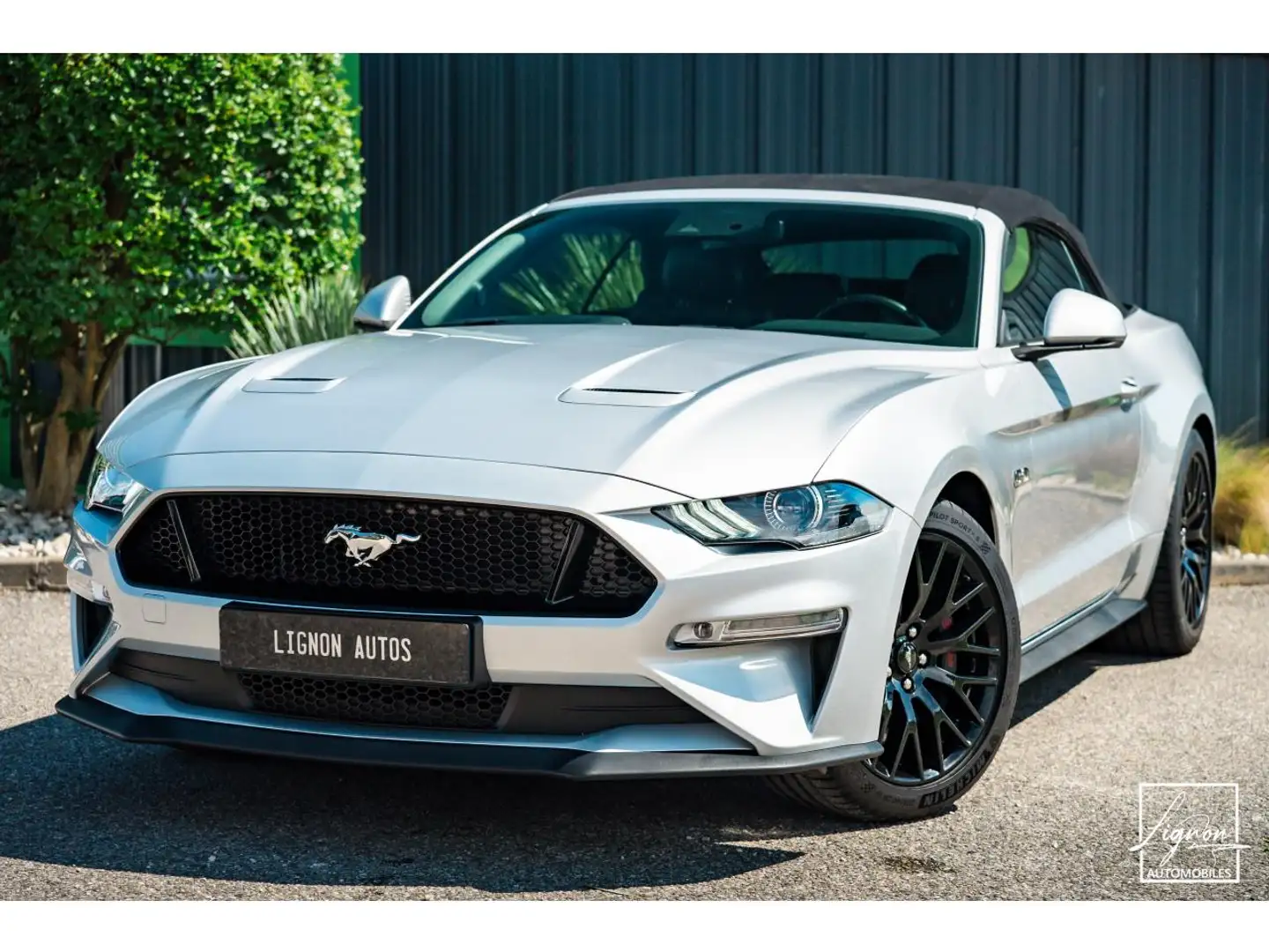 Ford Mustang Cabriolet Gt 5.0l V8 450 BVM6 Premium - 1