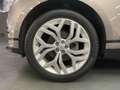 Land Rover Range Rover Velar R-Dynamic Grau - thumbnail 26