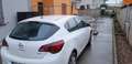 Opel Astra Astra IV 2010 5p 1.7 cdti Cosmo 110cv Bianco - thumbnail 4