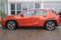 Lexus UX 250h Luxury Line Orange - thumbnail 2