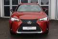Lexus UX 250h Luxury Line Orange - thumbnail 8