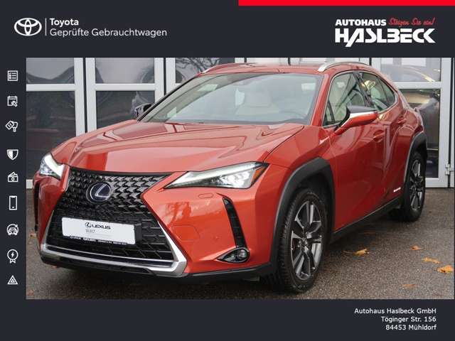 Imagine Lexus UX 250h Luxury Line