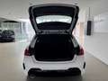 BMW 118 iA M-Sport Pano 18'' Hifi AdLED Sperrdiff. El. Hec Weiß - thumbnail 17