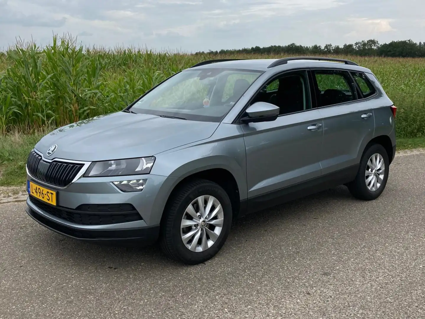 Skoda Karoq Karoq 1.0 TSI Business Edition Grijs - 1
