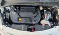 Fiat 500L mjt unico propr Tagliandata LEGGERE LA DESCRIZIONE - thumbnail 15