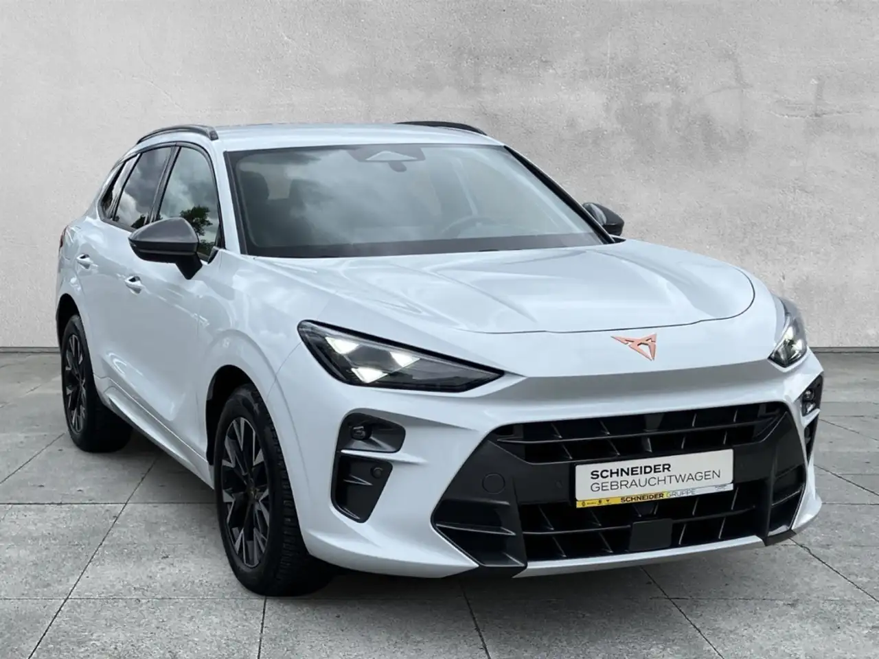 Cupra Terramar 1.5 eTSI KLIMA+KAMERA+LED+SHZ, миниатюра 7