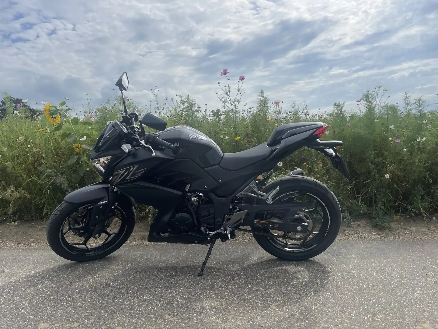 Kawasaki Z 300 Noir - 2