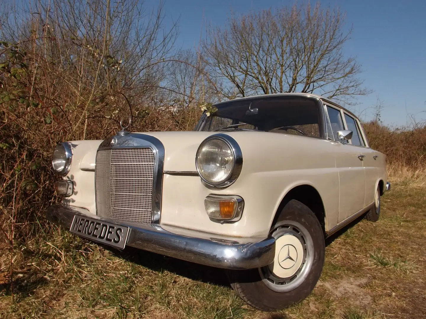 Mercedes-Benz 200 D- gut, günstig und zuverlässig! Weiß - 2