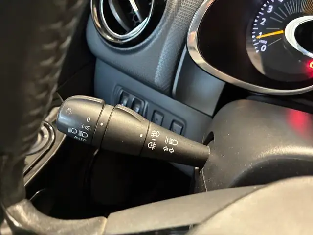 Renault Clio view 19