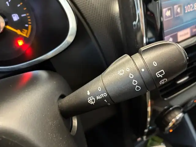 Renault Clio view 17