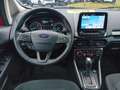 Ford EcoSport Cool & Connect Kamera SHZ Rot - thumbnail 9