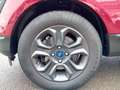 Ford EcoSport Cool & Connect Kamera SHZ Rot - thumbnail 14