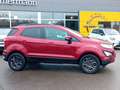 Ford EcoSport Cool & Connect Kamera SHZ Rot - thumbnail 5
