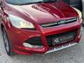 Ford Kuga 4x4 Allrad*ST Line* Rot - thumbnail 14