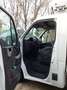Renault Master Master Fahrgestell L2H1 3,5t Energy dCi 145 EURO VI Weiß - thumbnail 19