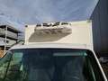 Renault Master Master Fahrgestell L2H1 3,5t Energy dCi 145 EURO VI Weiß - thumbnail 8