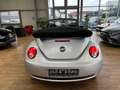 Volkswagen New Beetle Cabriolet 1.4 Silber - thumbnail 6