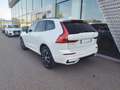 Volvo XC60 XC60 B4 (d) AWD automatico Plus Dark Bianco - thumbnail 4