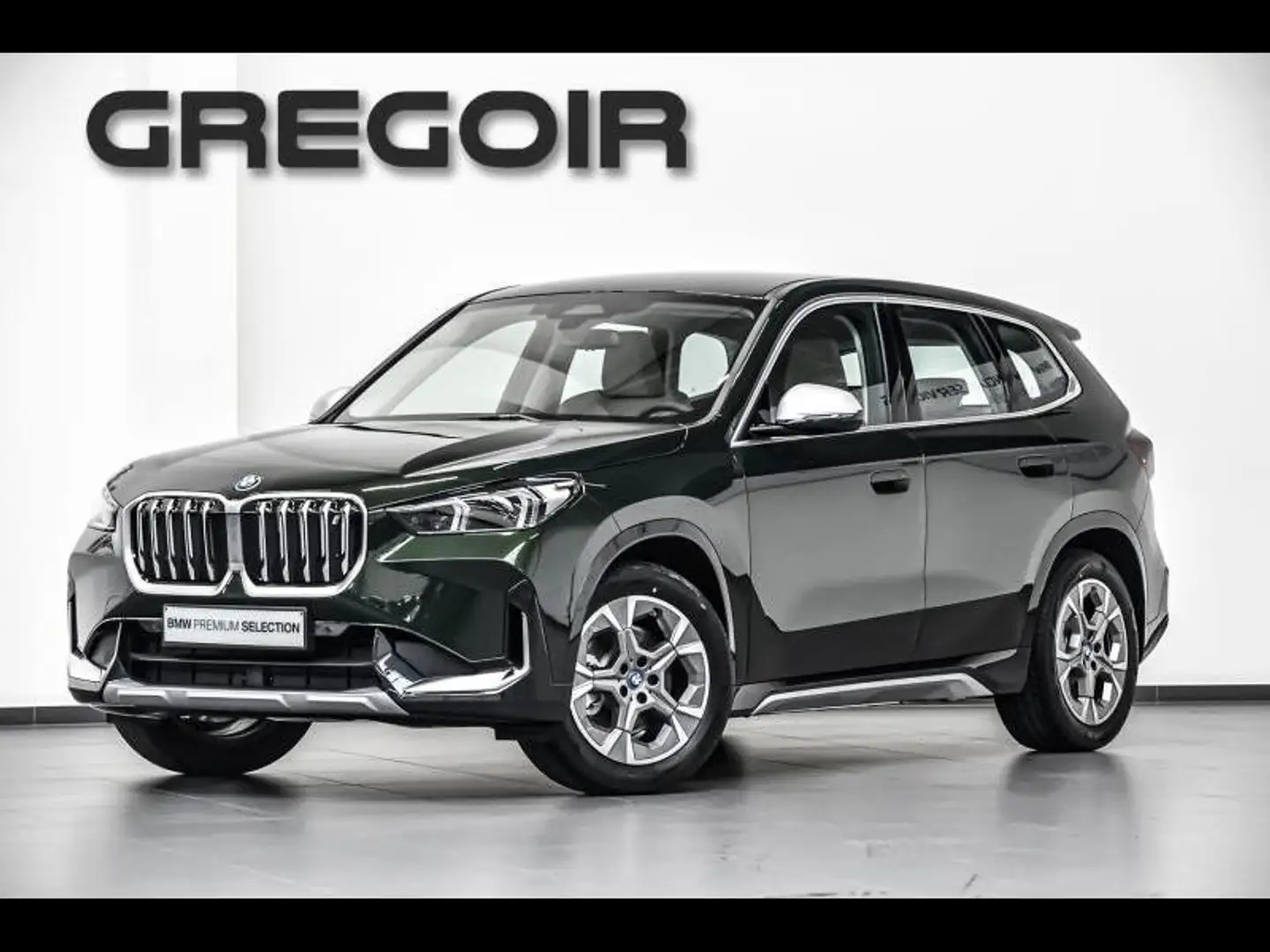 BMW iX1 xDrive30|Xline Vert - 1