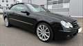 Mercedes-Benz CLK 320 CDI CABRIO AUTOMATIK TÜV,AVANTGARDE,LEDER Schwarz - thumbnail 4