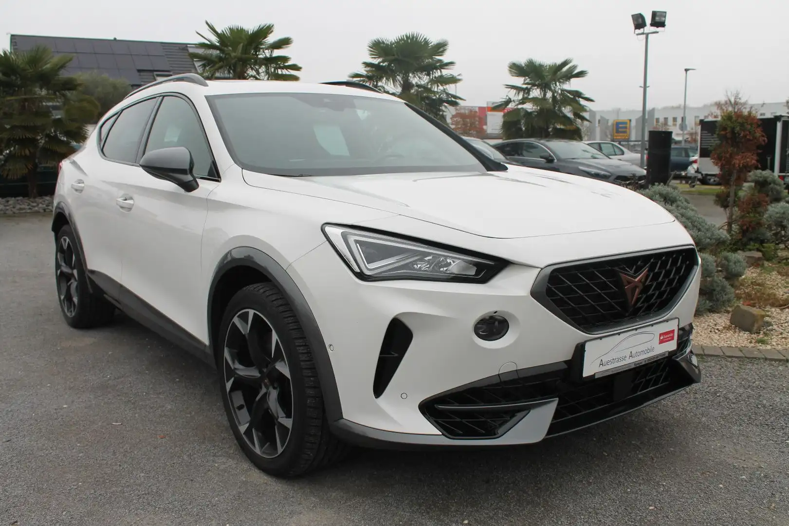 CUPRA Formentor DSG, LED, Kamera, ACC, CarPlay,Android Weiß - 1