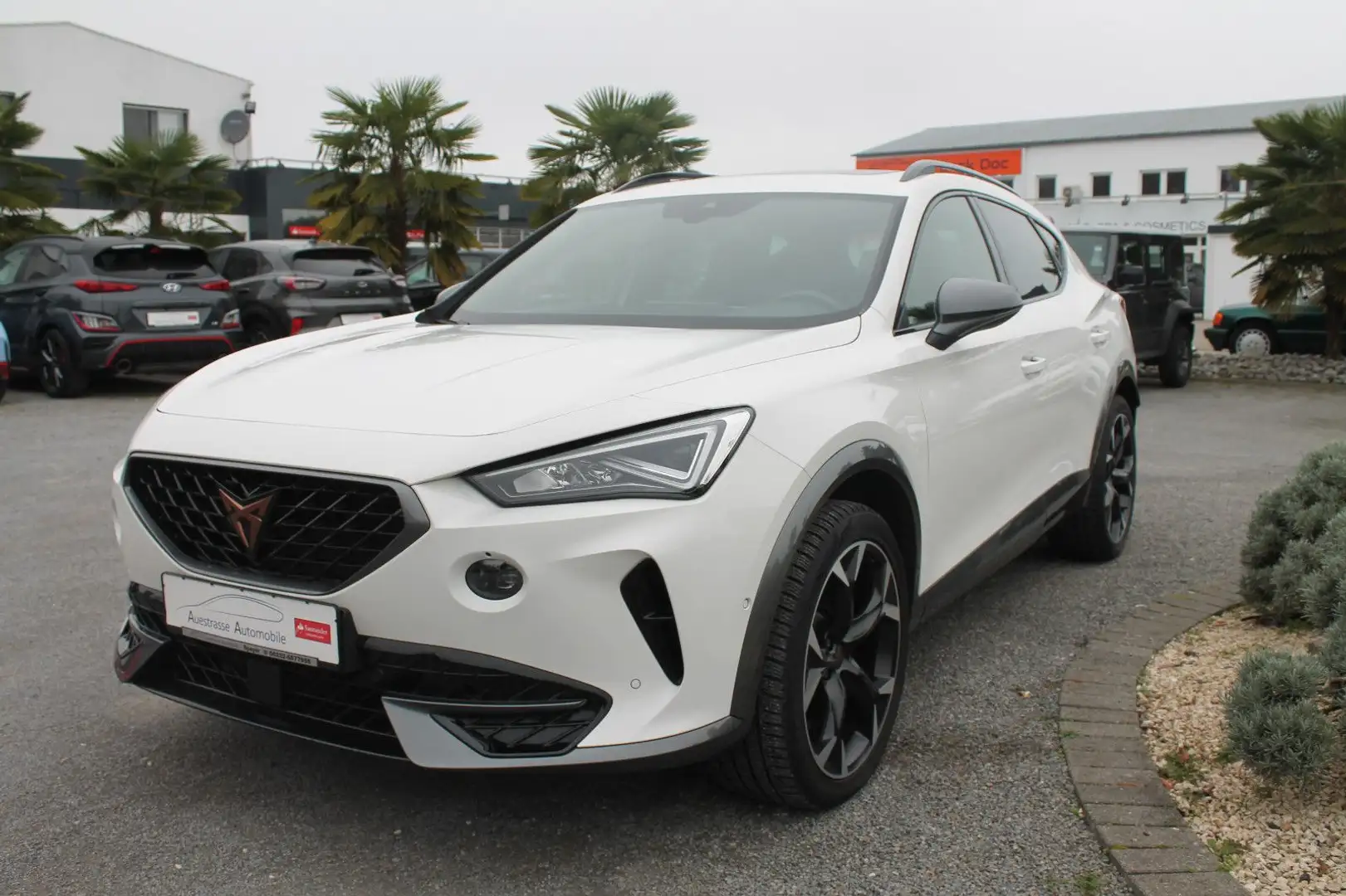 CUPRA Formentor DSG, LED, Kamera, ACC, CarPlay,Android Weiß - 2