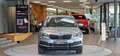 Skoda Karoq 1.5 TSI Style DSG *Virtual-Cockpit*Kamera*Navi* Grau - thumbnail 2