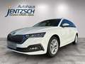 Skoda Octavia Combi Style Weiß - thumbnail 2