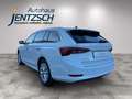 Skoda Octavia Combi Style Weiß - thumbnail 4
