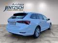 Skoda Octavia Combi Style Weiß - thumbnail 6