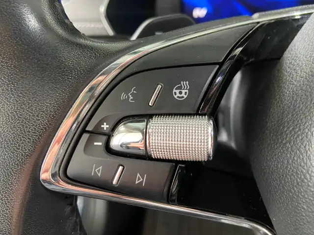 Skoda Octavia view 10