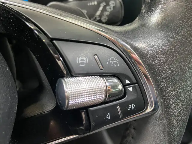 Skoda Octavia view 13