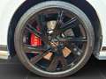 Volkswagen Golf GTI Clubsport *Navi*Kamera*Light-Assist* Weiß - thumbnail 8