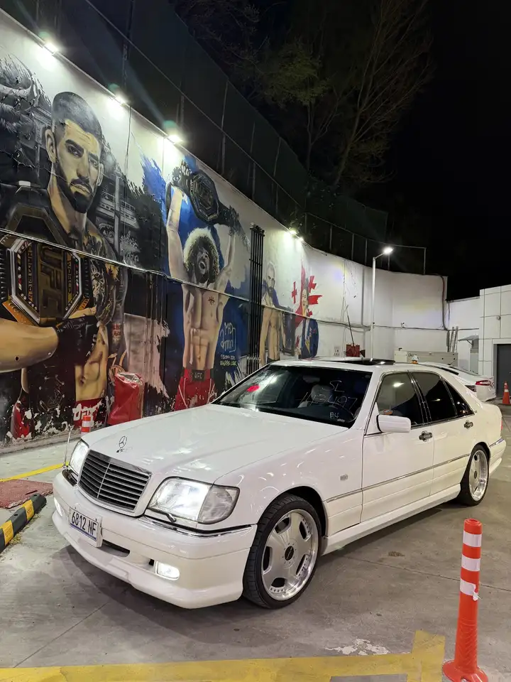 Mercedes-Benz S-Class S 500 1996