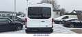 Ford Transit L2/Klima/Tüv 10.27/Garantie/PDC/Insp.NEU Weiß - thumbnail 4