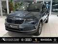 Skoda Karoq Clever 1.5 TSI Navi PDC Klima LED Kessy Grau - thumbnail 1