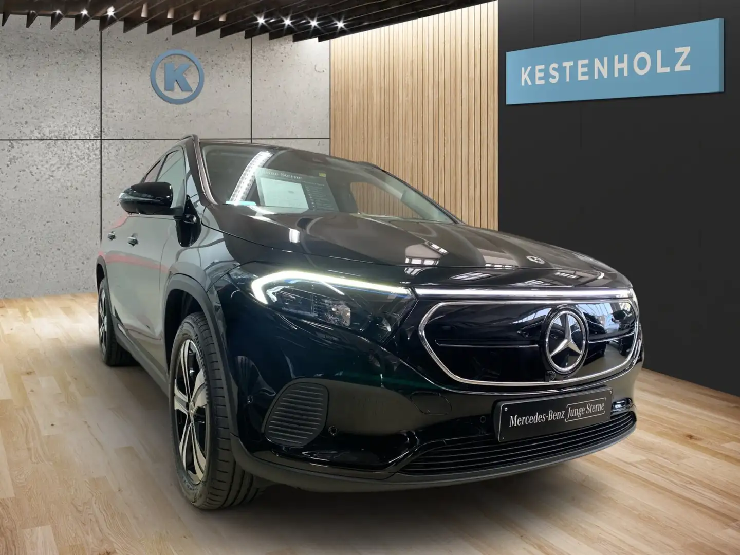 Mercedes-Benz EQA 250 EQA 250 *PROGRESSIVE*NIGHT*360°KAMERA*STHZ* Navi Noir - 2