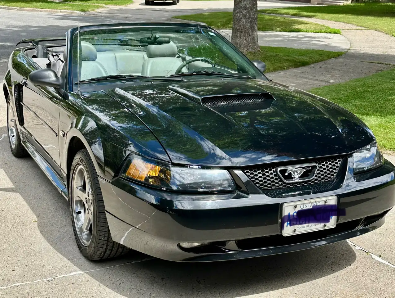 Ford Mustang photo Ford Mustang